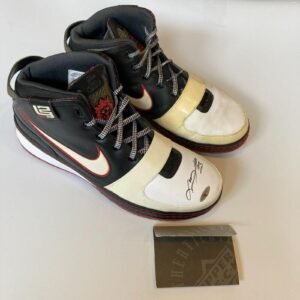 Pair of black and white Nike LeBron sneakers with signature and card